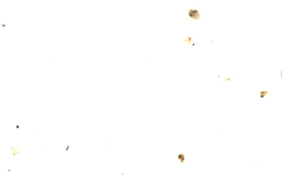 Image 102